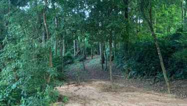 Casa de Campo em Sorocaba - Foto 3