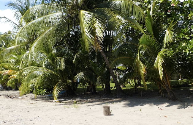 Viva Tambor Villas - Foto 38