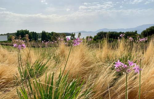 VARKO LUXURY SUITES - Foto 20