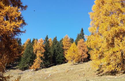 Residence Alice - Foto 64