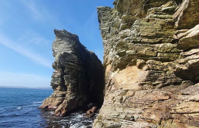 Tiny Home in Isle of Skye-pet Friendly - Photo 34