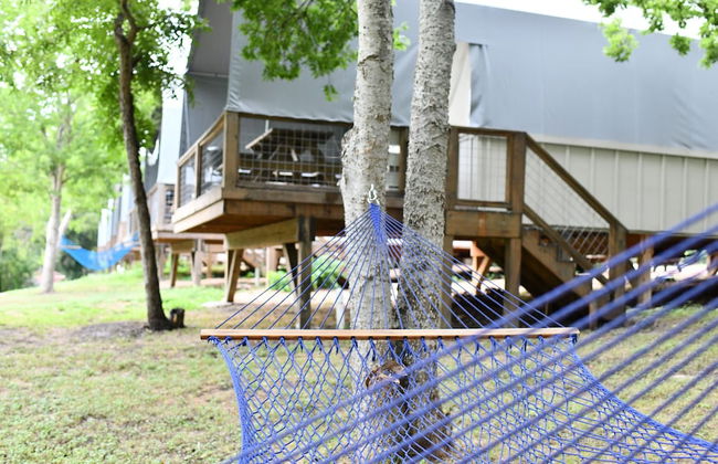 15 Son's Geronimo - Birdhouse Cabin - Foto 67