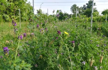 Agriturismo Le Crede 1930 - Foto 43