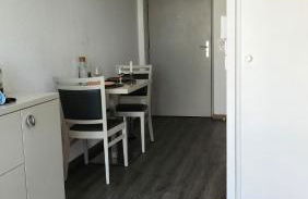 Cosy Studio Monplaisir Lumière Metro Lyon 8 - Photo 3