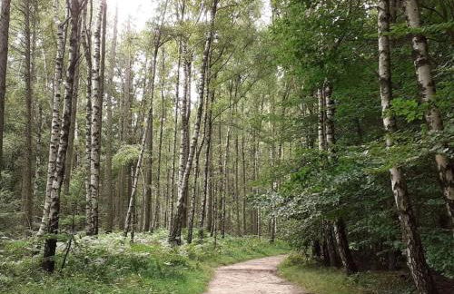 Schöne und ruhige Ferienwohnung in Ottendorf - Foto 25