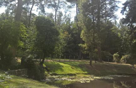 Gite meublé avec étang en lisière de forêt. - Photo 9