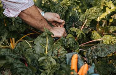 Di Colle in Colle - Agriturismo - Foto 28