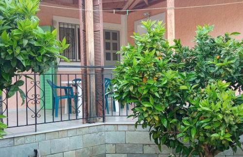 4our seasons 1 - Foto 2