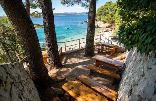 Beachfront Apartments Vala with a swimming pool - Photo 37