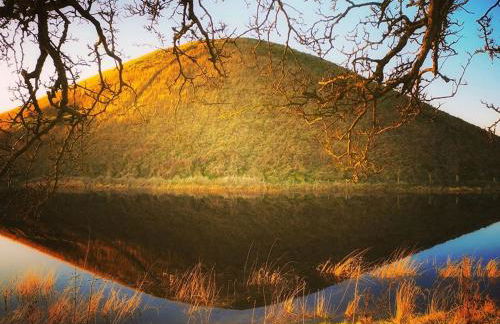 The Cottage - Photo 27