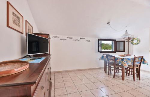 Cotoncello in una posizione panoramica - Goelba - Foto 7