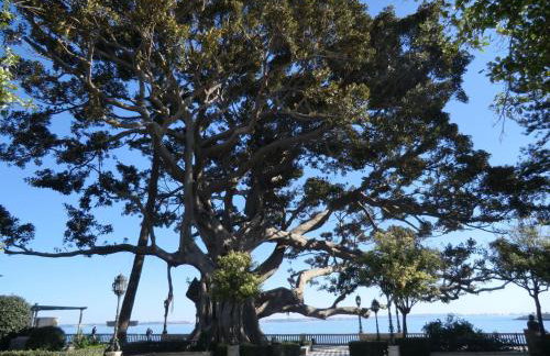 La Nube de San Miguel - Foto 24