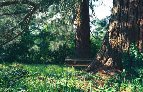 Le Grand Petit Prince - Domaine de Charme - Jacuzzis privatifs - Foto 21