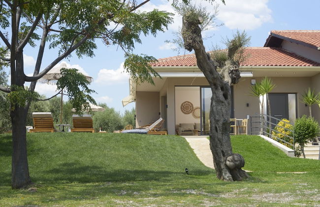 Elaia Grove - Foto 64