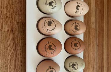 In the Woods by a Pond! Sugar Ranch Guest House! - Foto 54