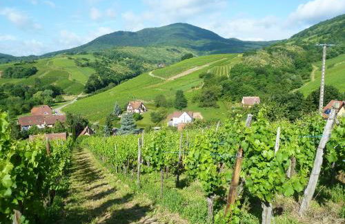 Appartement charmant à Epfig avec vue sur jardin - Foto 15