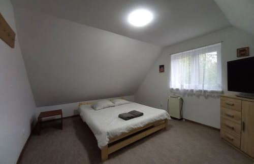 Dom Letniskowy - Kamieniczno - Photo 4