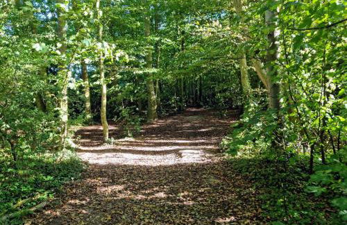 Stone's throw from beach and forest, stunning country walks - Foto 22