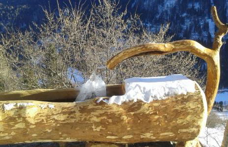 Appartamenti Presanella - Foto 19