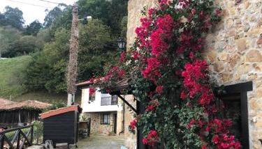 Vivienda Vacacional Casa Jimena - Foto 2