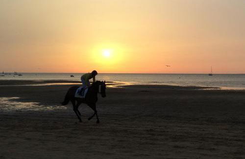 Apartamento turístico la jara - Foto 24