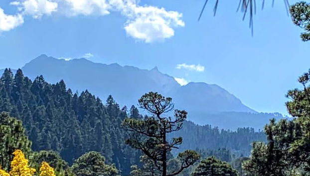 Trilha pelos Bosques do Nevado de Toluca - Foto 4