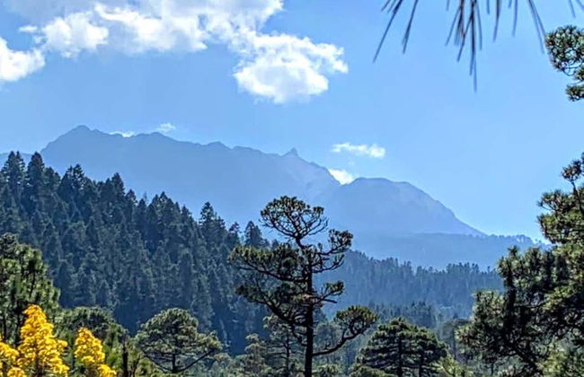 Nevado de Toluca National Park Hikes - Photo 8