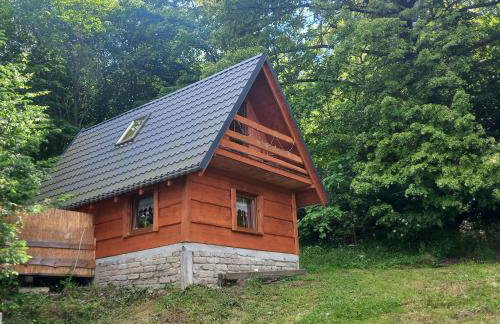 Domek Bacówka Pod Lipą - Foto 1