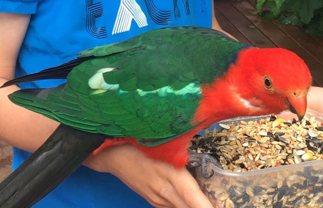 The Source Otways - Foto 28