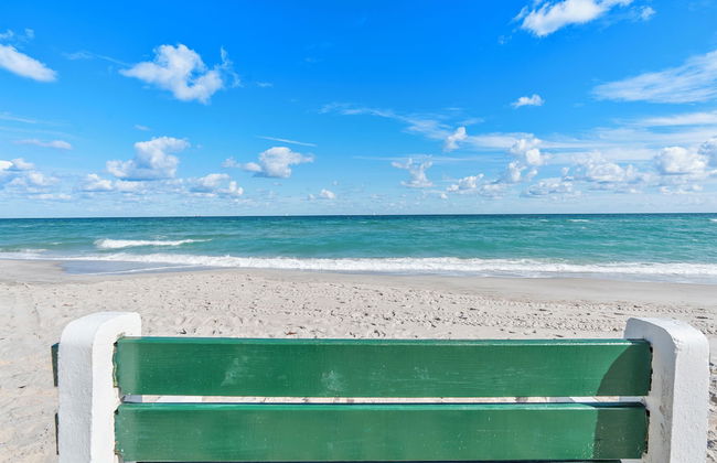 Walnut By The Sea - Photo 34