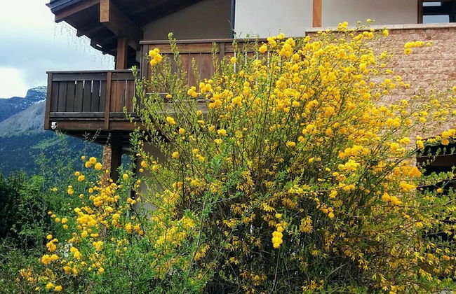 Appartamenti Bazzanella - Foto 25