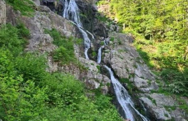 Apartment at the Edge of the Forest - Foto 13