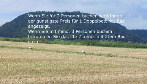 Ferienwohnung MW 4a bis 66 m2 Höxter Weserbergland Weser 1-2P 1SZi mBad 3-4P 2SZi m2Bäder Terrasse Wäsche Endreinigung Self CheckIn - Foto 5