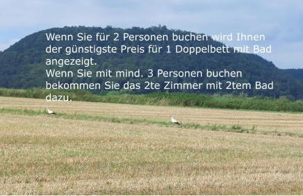 Ferienwohnung MW 4a bis 66 m2 Höxter Weserbergland Weser 1-2P 1SZi mBad 3-4P 2SZi m2Bäder Terrasse Wäsche Endreinigung Self CheckIn - Foto 5