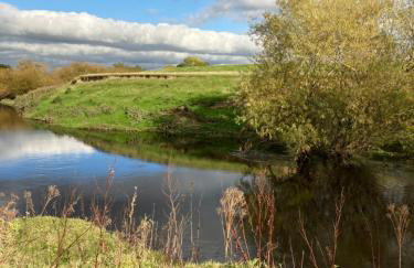 High Oak Holiday Cottage - Foto 36
