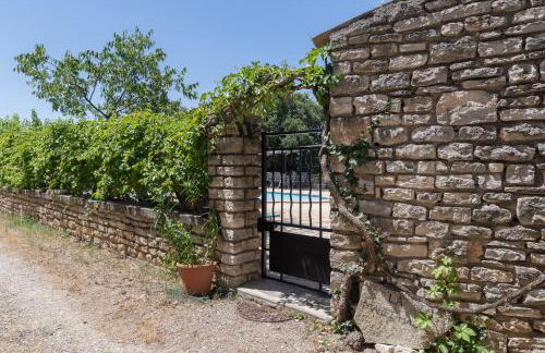 Micocoulier de la Maréchale - Foto 21