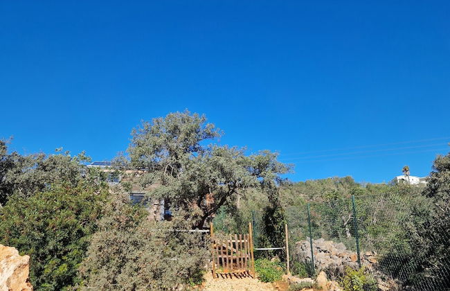 Tiny House & Horses Hébergement Atypique à Loulé - Foto 20