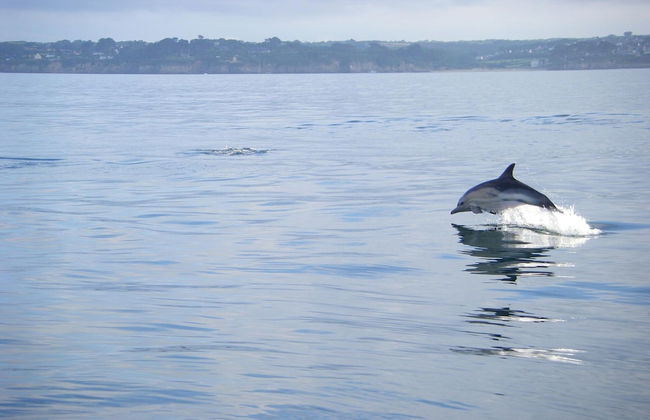 Holiday Home in Plouarzel Near Sandy Beach - Foto 26