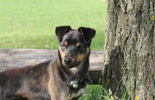 Beikircherhof - Photo 34