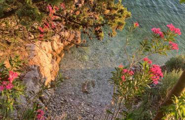 Apartman Nataša - Foto 25