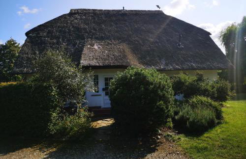 Ferienwohnung-im-Gruenen-zwischen-Binz-und-Sellin - Foto 16