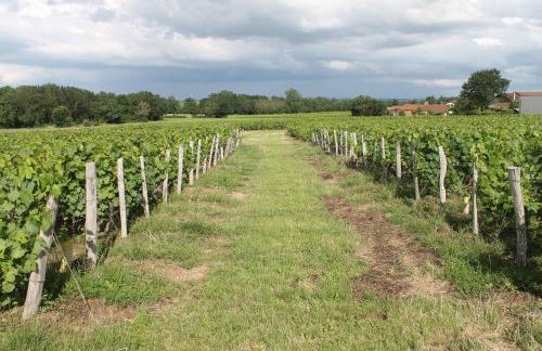 Gîte Fleurs de Gamay au coeur du Beaujolais - Foto 29