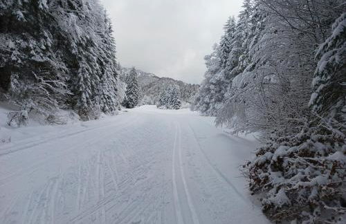 Landhaus am Bergfeld - Foto 16