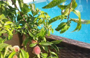 Il nido - Photo 12