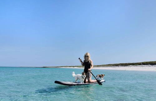 Orkney Retreats Island Farmhouses & Cottages - Photo 45