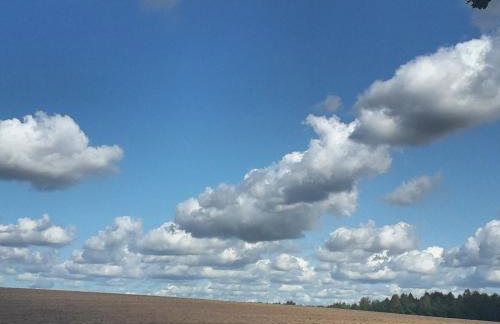 Agroturystyka Szafarnia 19 - Foto 40