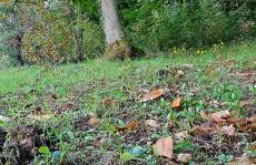 La Quercia e il Castagno Country & Relax - Foto 51