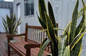 Kitnets Lofts no Kobrasol perto de Florianópolis - Foto 55