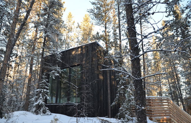 Yukon Black Spruce - Foto 7