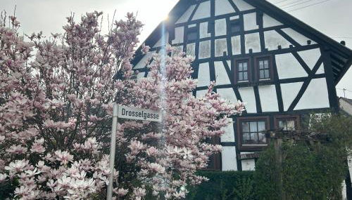 Das Pautzen Haus - Foto 2